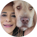 Luly Marino profile picture